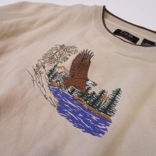 C&B Sport 老鷹 動物刺繡大學T：圖片 2